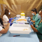 El personal de Atención Primaria prepara dosis en el Palacio de Exposiciones. RAMIRO