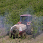 Un agricultor aplica un tratamiento a una plantación de manzanos en el Bierzo