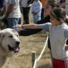 En el concurso se dieron cita ejemplares de Valencia, Ávila, Cantabria, Asturias, Madrid y León