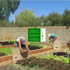 Participantes del programa Hortus, en el vivero municipal.