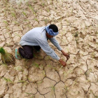 Un campesino planta arroz en un yermo campo de cultivo en la provincia de Kampong Seu (Camboya). Una dura sequía ha azotado el país durante la que debía ser su estación lluviosa, destrozando más de 100.000 hectáreas de cultivo.
