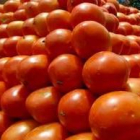 Los tomates pueden ser una de las claves en la lucha contra el cáncer