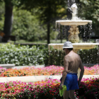 Un hombre pasea por el parque del Retiro, en Madrid, un día antes de la ola de calor de julio. MARISCAL