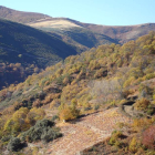 A 900 metros de altitud, en un escenario de gran belleza natural, Paixar explota minúsculas y tortuosas  parcelas para crear un vino distinto a todos.