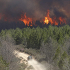 El fuego calcinó el año pasado 1.586 hectáreas en León