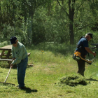 Trabajos de limpeza del Camino de Santiago