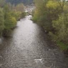 El río Burbia en la jornada de apertura de la temporada. Al fondo se aprecia Villafranca del Bierzo