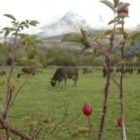 La riqueza natural y paisajística de Babia y Luna aguarda a que la Junta constituya el parque