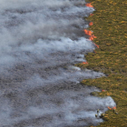 Efectivos de extinción trabajando en el fuego de la Tebaida, en una imagen de archivo. ANA F. BARREDO