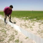 Un agricultor combate con zanjas la plaga de topillos en sus cultivos