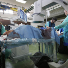 Imagen de archivo de una intervención quirúrgica en Veterinaria.