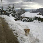 La calle nevada de un pueblo del Bierzo Oeste, el pasado domingo