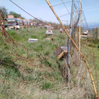 El oso rompió las vallas y dañó 30 colmenas en tres ataques en Espinoso de Compludo. DL