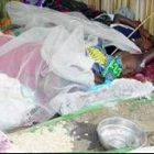 Mujeres y sus hijos pequeños yacen muertos en una tienda del campo de refugiados