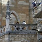 Actualmente dos empresas trabajan en obras de emergencia en la Catedral de León