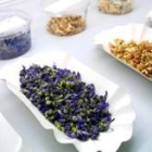 León es una de las provincias que cosecha más plantas aptas para usos medicinales