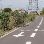 Las plantas de estramonio han crecido libremente hasta alcanzar más de metro y medio de altura a la vera del carril-bici bajo la ronda Este. MIGUEL F.B.