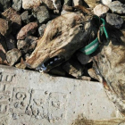 Galgo muerto en Sevillahttps://www.elperiodico.com/es/sucesos-y-tribunales/20180316/investigado-un-hombre-por-atar-perros-a-la-via-del-tren-para-matarlos-6695037