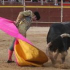 Alejandro Lalana fue el triunfador de la tarde, en la cual cosechó cuatro trofeos