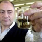El químico José Luis Bourdelande muestra una prueba de la solución