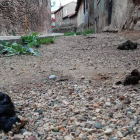 Excrementos humanos y caninos en la cerca medieval de León, en Puerta Moneda, ayer.