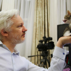Julian Assange, con su nuevo compañero en la Embajada de Ecuador en Londres.