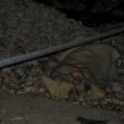 El cadáver del trabajador tuvo que ser rescatado por los bomberos