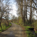Carretera de acceso a Villanueva del Árbol. DL