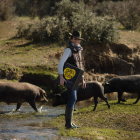 El acceso a los productos es sencillo desde el Market Tierra de Sabor. DL