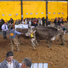Una de las exposiciones celebradas en Boñar. CAMPOS