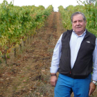 B. Fernández