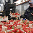 La decena de mayoristas de frutas y verduras representan el sector más significativo del mercado central de León.