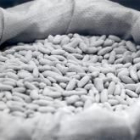 Las alubias de León, en la imagen, tendrán el IGP en dos o tres meses