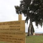 La encina es conocida como el Xardon del Perouchín.