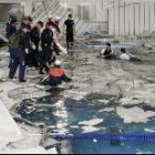 El techo de una piscina municipal en Sendai se deplomó sobre los bañistas causando 26 heridos