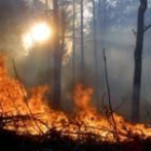 Camposagrado y su entorno han sufrido incendios muy importantes en los últimos años