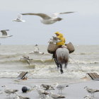 Un belga practica la tradicional pesca de camarones a caballo en Oostduinkeerke