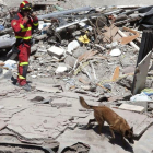 Un militar de la UME rastrea con su perro en un derrumbe de un edificio