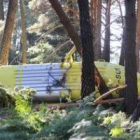 El helicóptero, de tipo sokol, quedó tumbado sobre su lateral derecho en una cama de helechos.