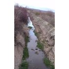 Los empresarios denuncian el mal estado del canal de Carrizo.