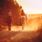 Rutas a caballo en León: descubre los mejores lugares para rutas ecuestres FOTO: Pexels