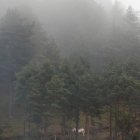 Niebla en la provincia de León. JESÚS F. SALVADORES