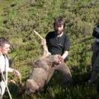 Efectivos de la Fundación Oso Pardo muestran el cadáver de un corzo, en fotografía de archivo