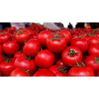 Los investigadores analizaron 328 varieades de tomates tradicionales, silvestres y modernos SEDAT SUNA