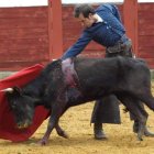 El torero César Jiménez tentando una vaca en la plaza coyantina.
