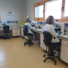 El Laboratorio Regional de Sanidad Animal ha realizado multitud de pruebas analíticas del covid. DL