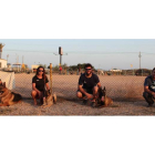 Imagen de parte del equipo del proyecto Escan en Murcia con varios de los perros que utilizan para el programa. ESCAN