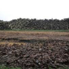 Proceso de fabricación de biomasa en el Centro de Gestión Forestal de Saldaña