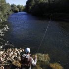 Un pescador en uno de los muchos cauces trucheros de la provincia leonesa.