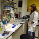 Los departamentos ligados a la investigación científica acaparan muchas de las tesis.